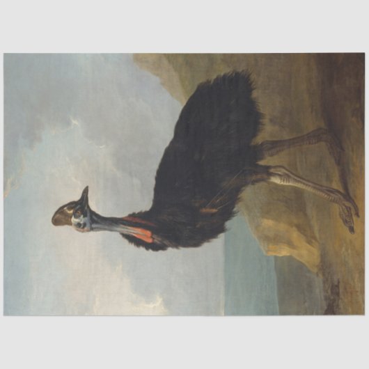 Cassowary (Australian Bird) (Wild Animal Art) Seidenpapier (Vorderseite)