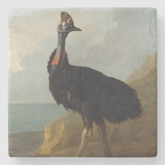 Cassowary (Australian Bird) (Wild Animal Art) Steinuntersetzer (Vorderseite)