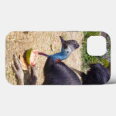 Cassowary Bird Eating Melons, iPhone 13 Fall Case-Mate iPhone Hülle (Rückseite (Horizontal))