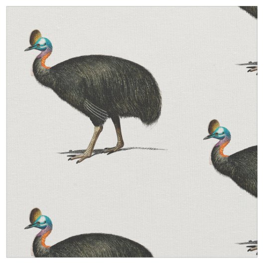 Cassowary Fabric Stoff (Nahaufnahme)