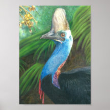 Cassowary Hand bemalt Original Art Poster.