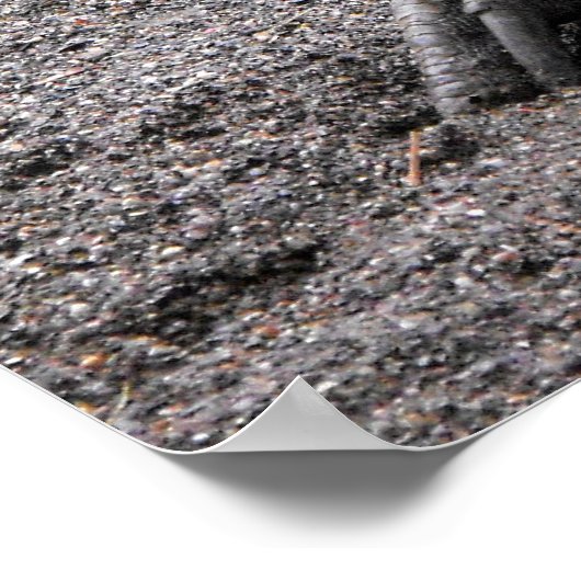 Cassowary im Frühling Poster (Ecke)