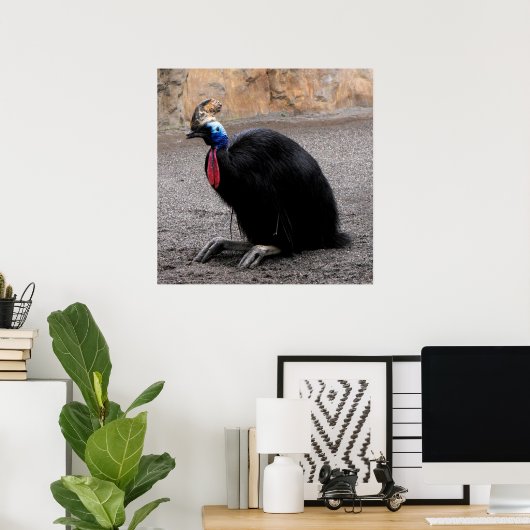 Cassowary im Frühling Poster (Heimbüro)