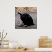 Cassowary im Frühling Poster (Küche)