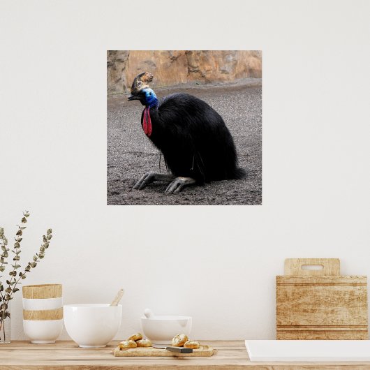 Cassowary im Frühling Poster (Küche)