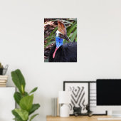 Cassowary Poster (Heimbüro)