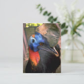 Cassowary Postkarte (Stehend Vorderseite)
