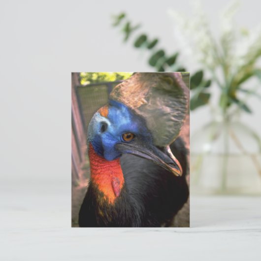Cassowary Postkarte (Stehend Vorderseite)