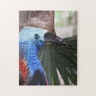 Cassowary Puzzle