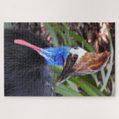Cassowary Puzzle (Horizontal)