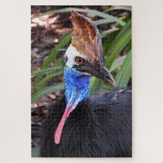 Cassowary Puzzle (Vertikal)