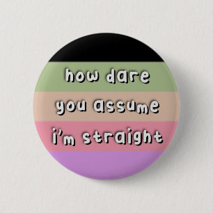 Casssexual Pride - “How Dare You Assume” - LGBT Button
