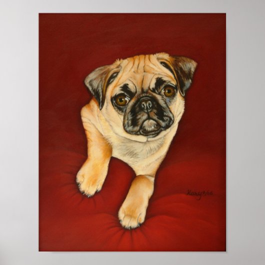 Cassy Poster (Vorne)