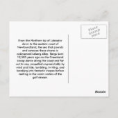 Castaway Postkarte (Rückseite)