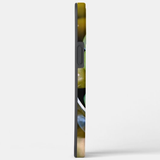 Castelvetrano Case-Mate iPhone Hülle (Rückseite / Rechts)