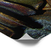 Casters Poster (Ecke)