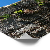 Castillo de San Marcos, Nationaldenkmal, Florida Poster (Ecke)