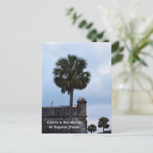 Castillo de San Marcos St Augustine FL Foto Postkarte (Stehend Vorderseite)