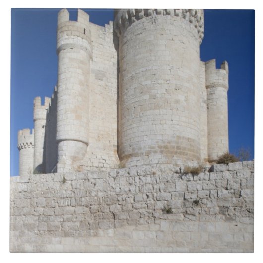 Castillo Penafiel, enthält Weinmuseum Fliese (Vorderseite)