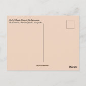 Castillo Santa Rosa Venezuela Postkarte (Rückseite)