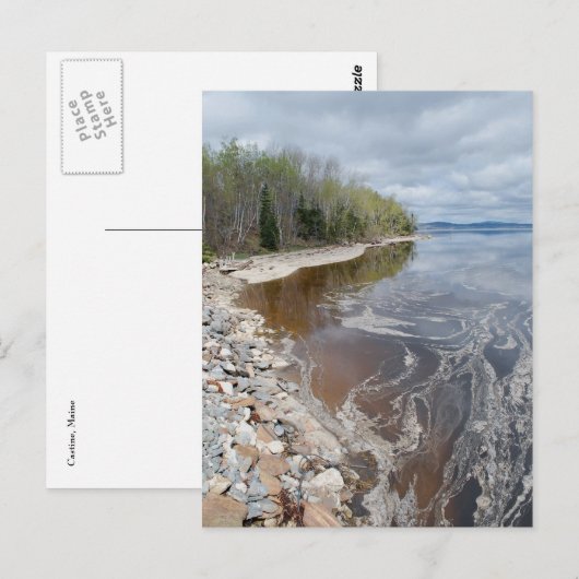 Castine Postcard - 1 Postkarte (Vorne/Hinten)