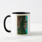 Castle Crags Staat Park (USA) 99 Tasse (Links)