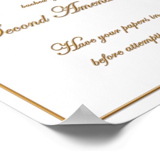 Castle Doctrine Notice Poster (Ecke)