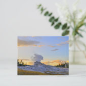 Castle Geyser at Sunset, Yellowstone National Park Postkarte (Stehend Vorderseite)