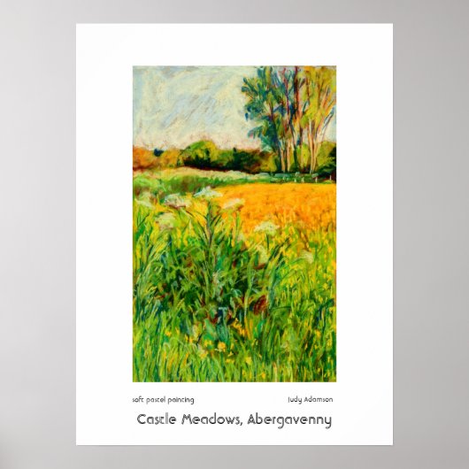 Castle Meadows, Abergavenny Print oder Poster (Vorne)