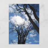 Castle Postcard - 2 Postkarte (Vorderseite)