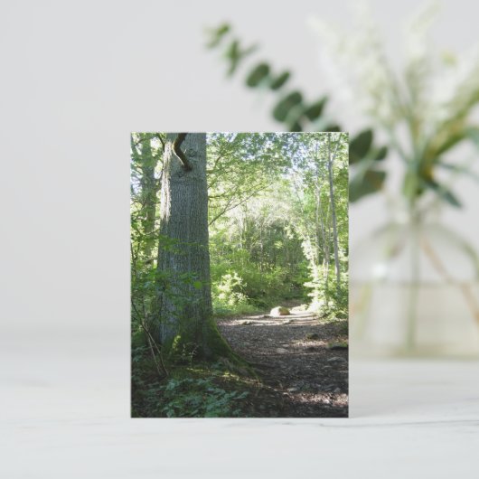 Castlehead Wood: Keswick Postkarte (Stehend Vorderseite)