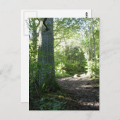 Castlehead Wood: Keswick Postkarte (Vorne/Hinten)