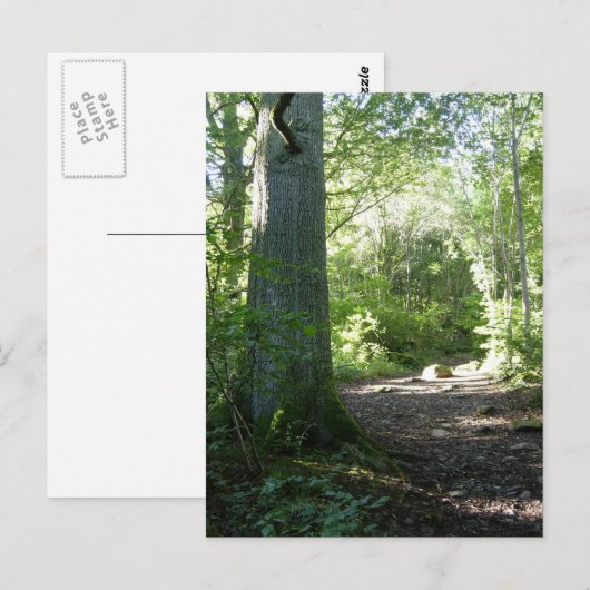 Castlehead Wood: Keswick Postkarte (Vorne/Hinten)