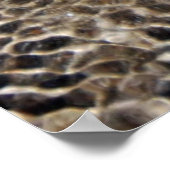 Castlepoint Poster (Ecke)