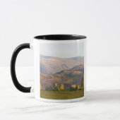 Castlerigg Stone Circle, Lake District, Cumbria, 2 Tasse (Links)