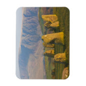 Castlerigg Stone Circle, Lake District, Cumbria, Magnet (Vertikal)