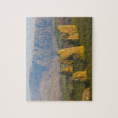 Castlerigg Stone Circle, Lake District, Cumbria, Puzzle (Vertikal)