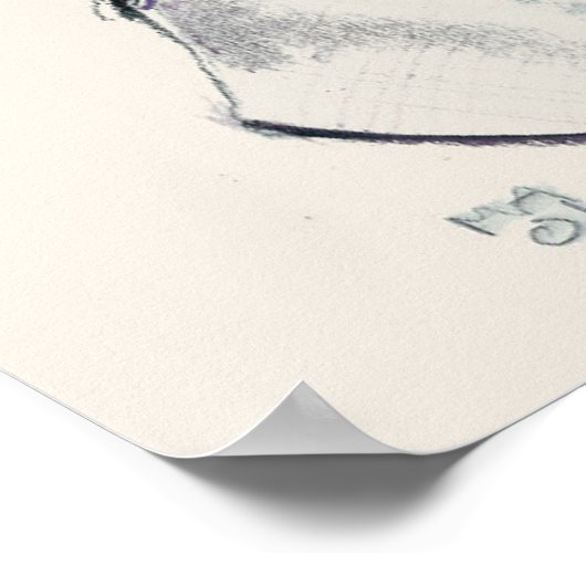 Castor Fibre 2001 Poster (Ecke)