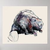 Castor Fibre 2001 Poster (Vorne)