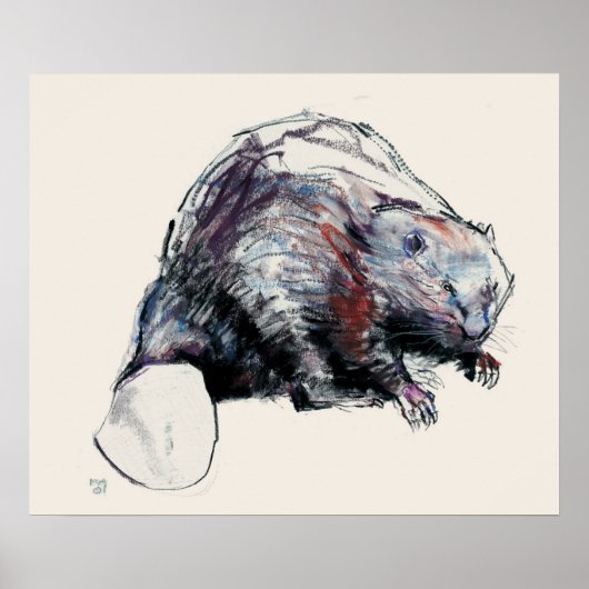 Castor Fibre 2001 Poster (Vorne)