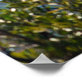 Castro Street Rainbow Flag San Francisco - LGBTQ+ Poster (Ecke)