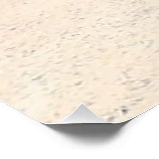 Casuarina Trees, Long Island Bahamas Poster (Ecke)