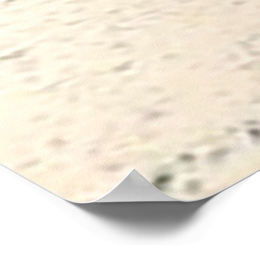 Casuarina Trees, Long Island Bahamas Poster (Ecke)