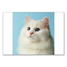 Cat (猫 / ね こ) - Japanische Flash Cards Tischnummer