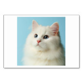 Cat (고 양 이) - Koreanische Flash Cards Tischnummer (Vorderseite)