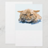 CAT 10 BRIEFPAPIER (Vorne/Hinten)