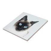 CAT 11 FLIESE (Seite)