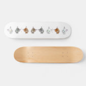 Cat-1 Skateboard (Horizontal)