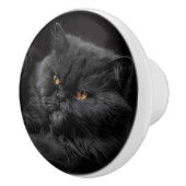Cat_20180101_by_JAMFoto Keramikknauf (Rechts)