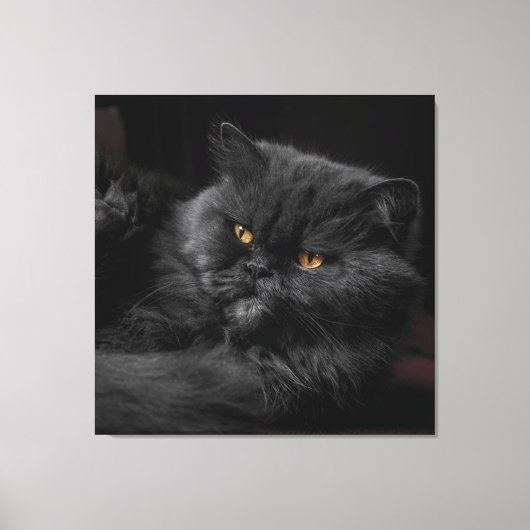 Cat_20180101_by_JAMFoto Leinwanddruck (Vorderseite)